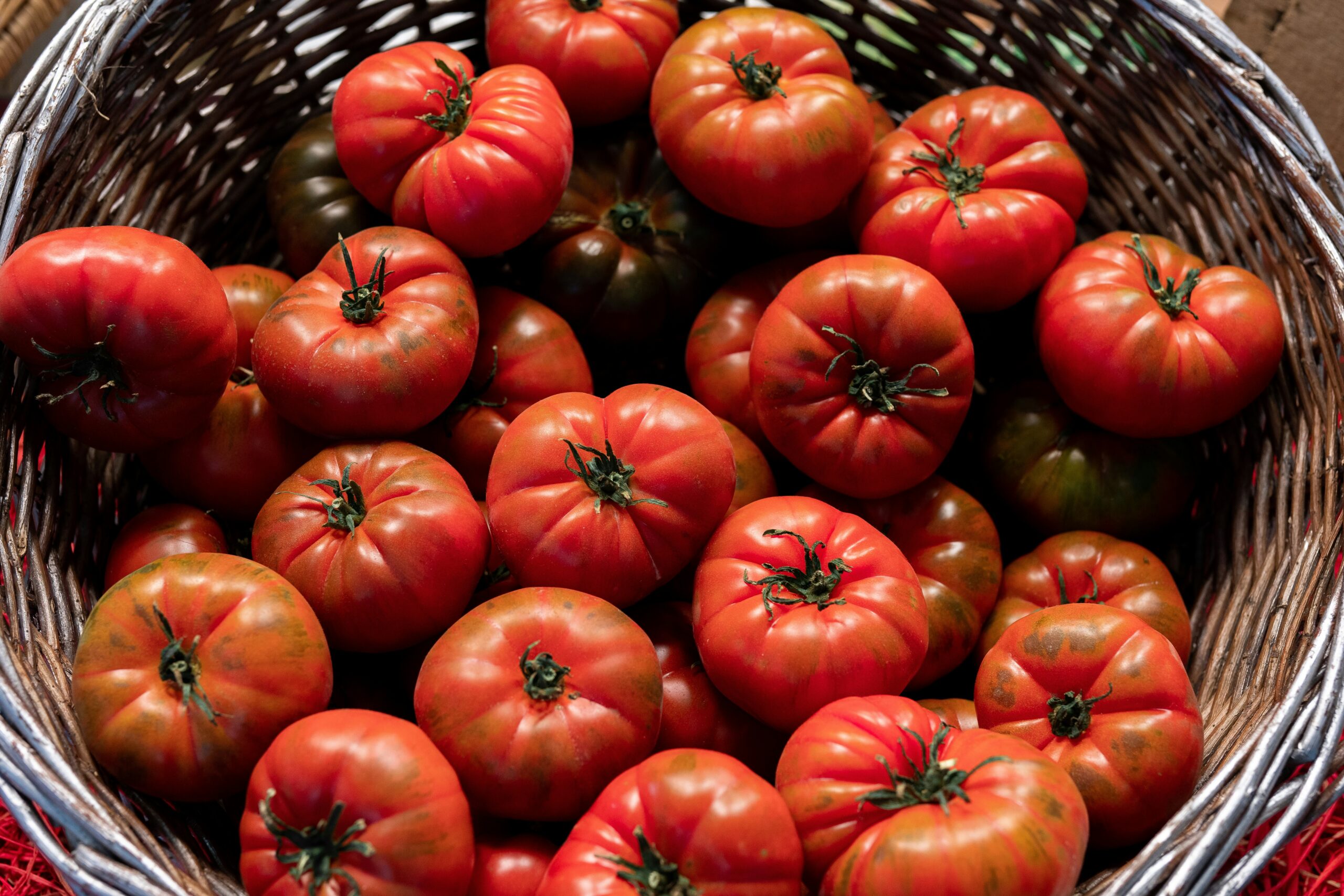 From the Garden to the Table: An Easy Way to Use Fresh Tomatoes