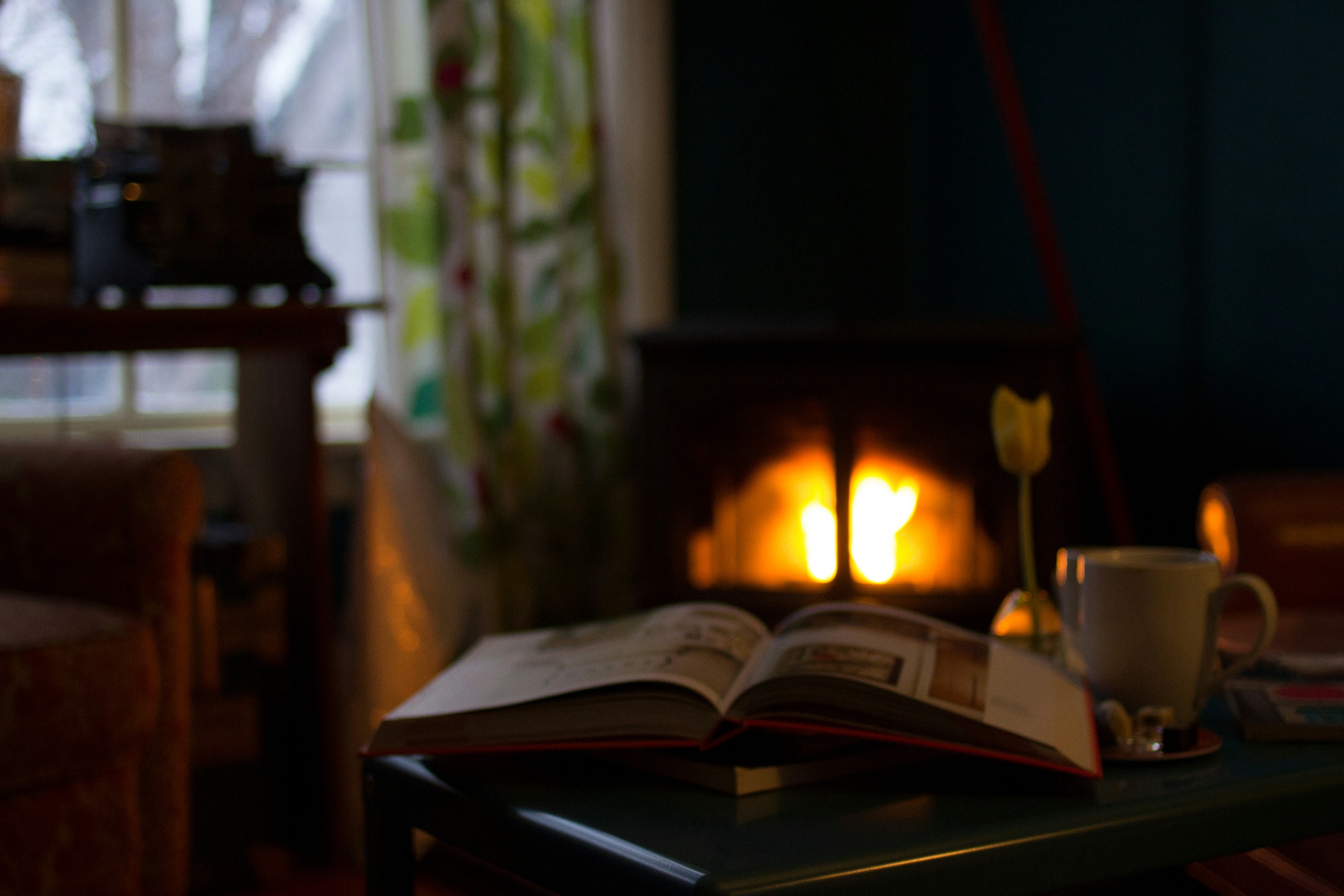 A Home That Feels Like Home: Finding Comfort in the Everyday